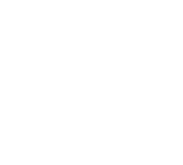 The Dog Spot original logo