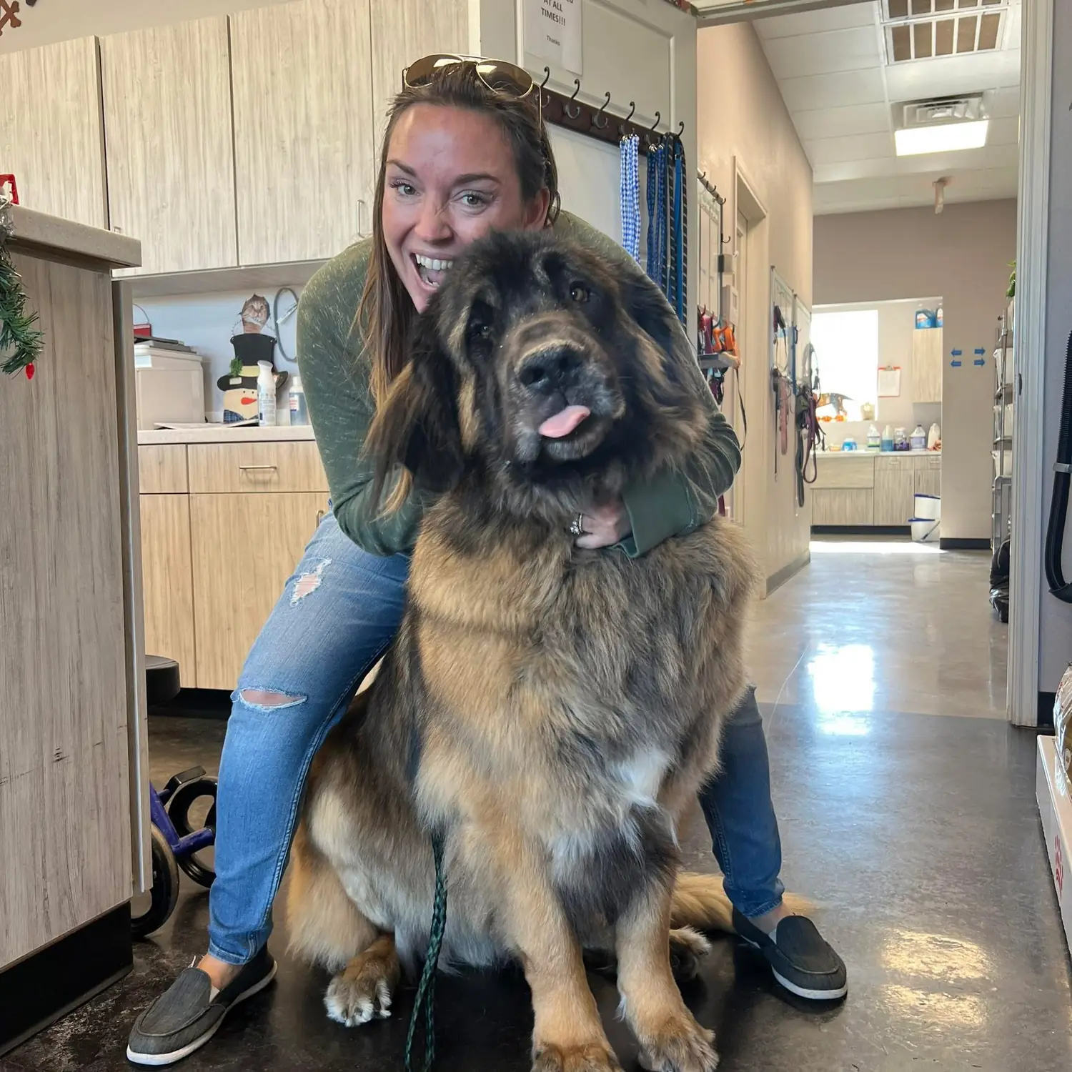 Jennifer Abraham, owner of Paw Retreat, kneeling beside a large long-haired dog in the Salado facility